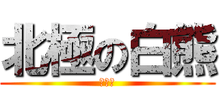 北極の白熊 (ワホー)