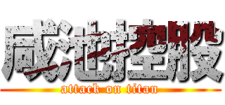 咸池控股 (attack on titan)