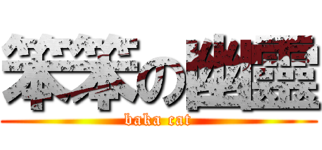 笨笨の幽靈 (baka cat)