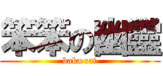 笨笨の幽靈 (baka cat)