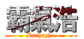霸氣浩 (Barhayho)