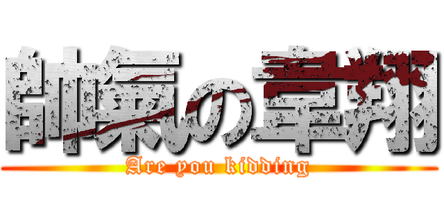 帥氣の韋翔 (Are you kidding)