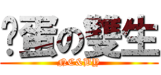 傻蛋の雙生 (NC&BY)