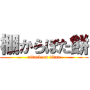 棚からぼた餅 (attack on titan)