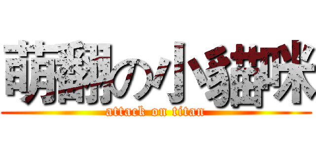 萌翻の小貓咪 (attack on titan)