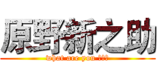 原野新之助 (what are you 弄啥类)