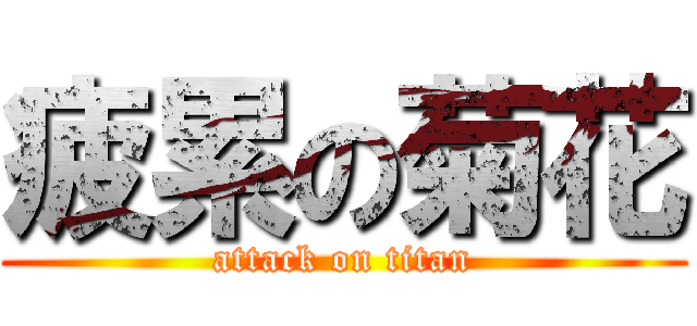 疲累の菊花 (attack on titan)