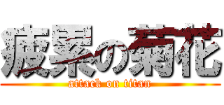 疲累の菊花 (attack on titan)