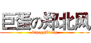巨蛋の郑北风 (bigeggBfeng)
