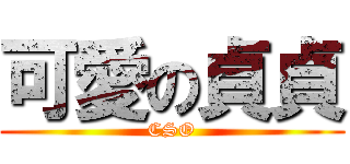 可愛の貞貞 (CSO)