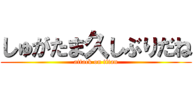 しゅがたま久しぶりだね (attack on titan)