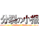 分裂の小报 (attack on titan)