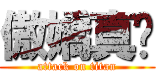 傲嬌真姬 (attack on titan)