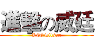 進擊の威廷 (I 06 wilson)