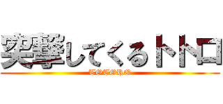 突撃してくるトトロ (TOTORO)
