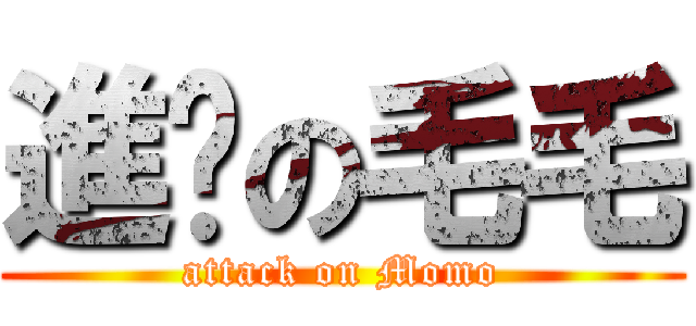 進擊の毛毛 (attack on Momo)