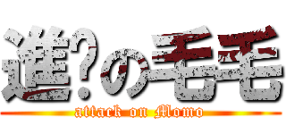 進擊の毛毛 (attack on Momo)