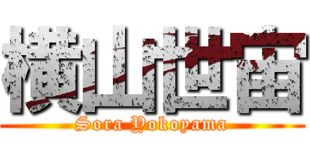 横山世宙 (Sora Yokoyama)