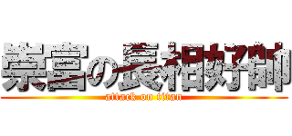 崇富の長相好帥 (attack on titan)