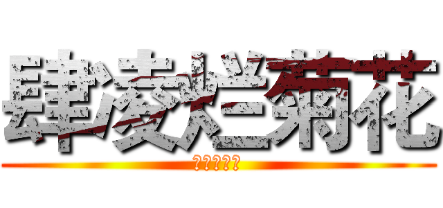 肆凌烂菊花 (肆凌烂菊花)