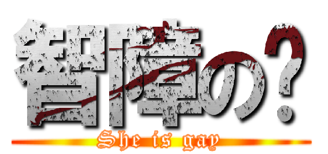 智障の貓 (She is gay)