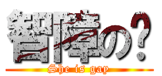 智障の貓 (She is gay)