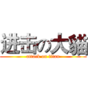 进击の大貓 (attack on titan)