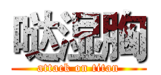 哒湿胸 (attack on titan)