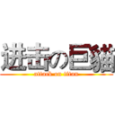 进击の巨貓 (attack on titan)