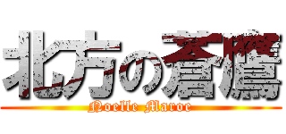 北方の蒼鷹 (Noelle Maroe)