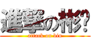 進撃の彬酱 (attack on bin)