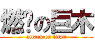 燃烧の巨木 (attack on titan)