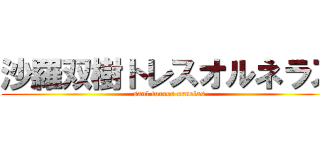 沙羅双樹トレスオルネラス (saul torres ornelas)