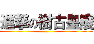 進撃の樹古皇陵 ()