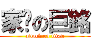 家擊の巨銘 (attack on titan)