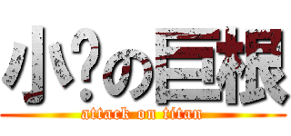 小饱の巨根 (attack on titan)