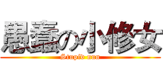 愚蠢の小修女 (Stupid nun)