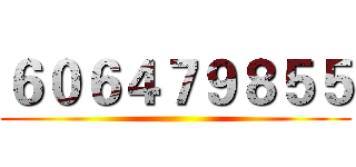 ６０６４７９８５５ ()