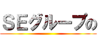 ＳＥグループの ()
