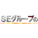 ＳＥグループの ()