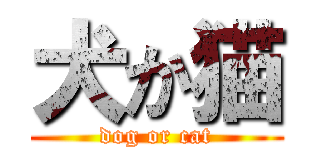 犬か猫 (dog or cat)