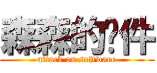 森森的软件 (attack on software)