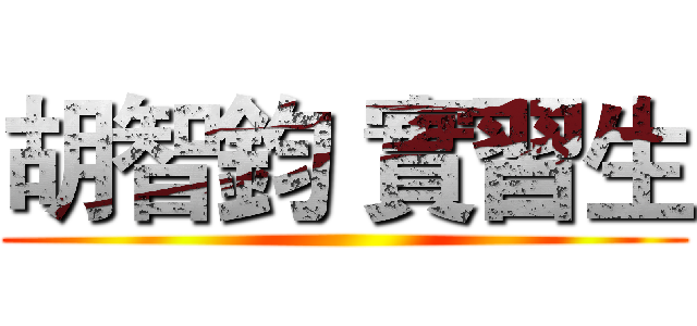 胡智鈞 實習生 ()