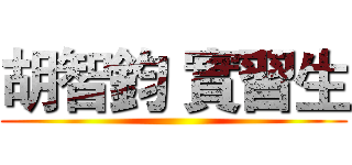 胡智鈞 實習生 ()