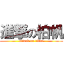 進撃の柏帆 (attack on titan)