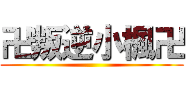 卍叛逆小楓卍 ()