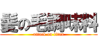 髪の毛調味料 (attack on titan)