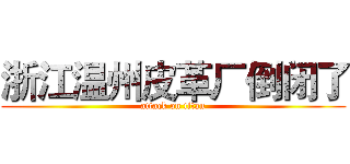 浙江温州皮革厂倒闭了 (attack on titan)