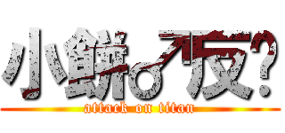 小餅♂反擊 (attack on titan)