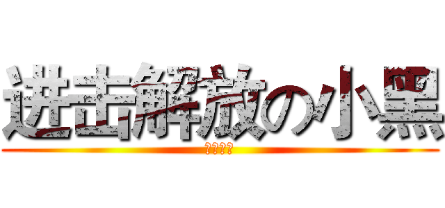 进击解放の小黑 (餐餐餛飩)
